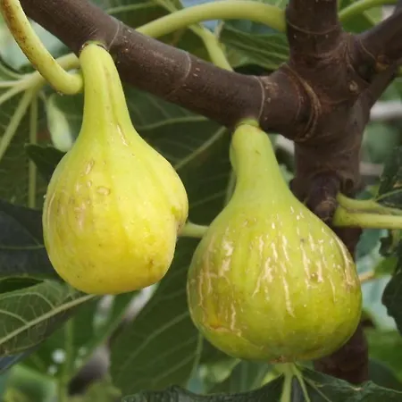 Captivating 15 Sleeps 4 Guests *